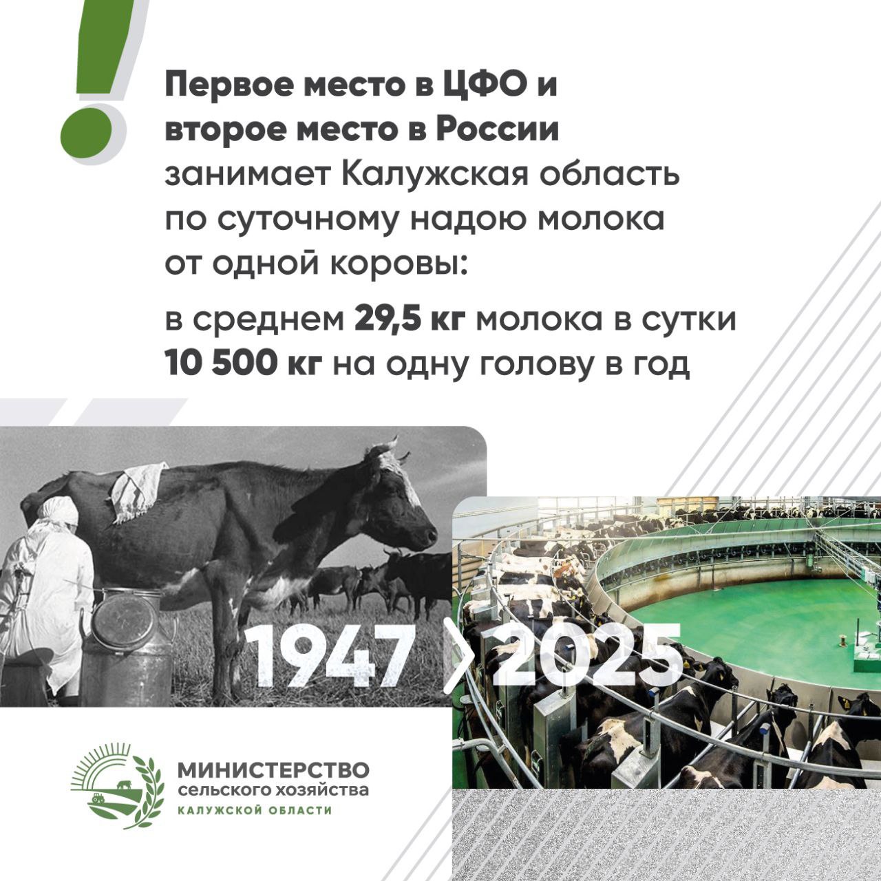Калужская область позиционирует себя как ключевого производителя молока, способствуя обеспечению ...