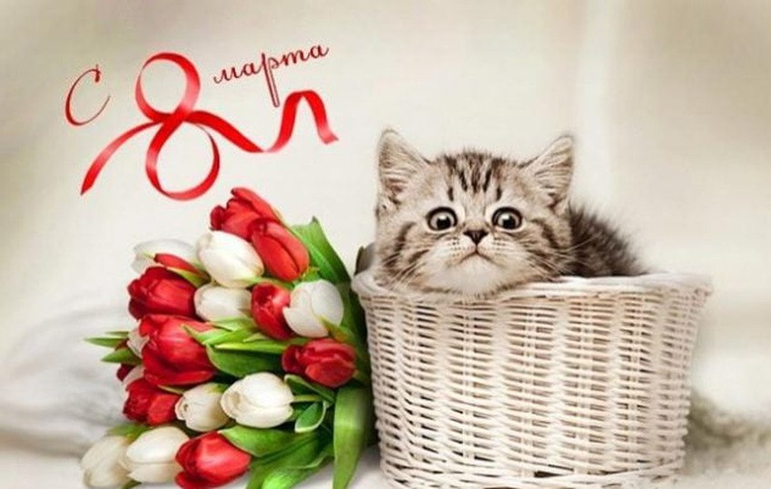 Женщин с праздником!

Вам предстоит принять поздравления в течение нескольких дней: от коллег в п...